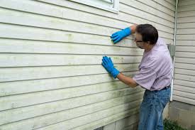 Best Siding Painting and Refinishing  in Litchfield Beach, SC